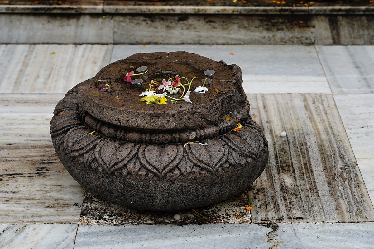 Chakramana Lotus , third week of buddha