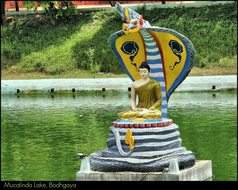 Bodh Gaya Mahabodhi Temple sicth wwek of buddha