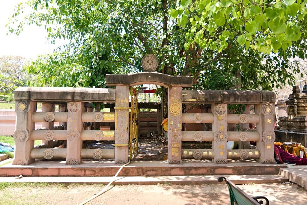 Rajayatna mahabodhi temple bodh gaya india seventh week of buddha after enlightenment