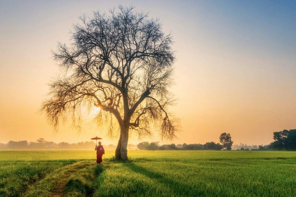 Bodh Gaya , Bihar , India